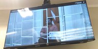 Danil Suvorov participa en la audiencia de apelación por videoconferencia desde el centro de detención preventiva